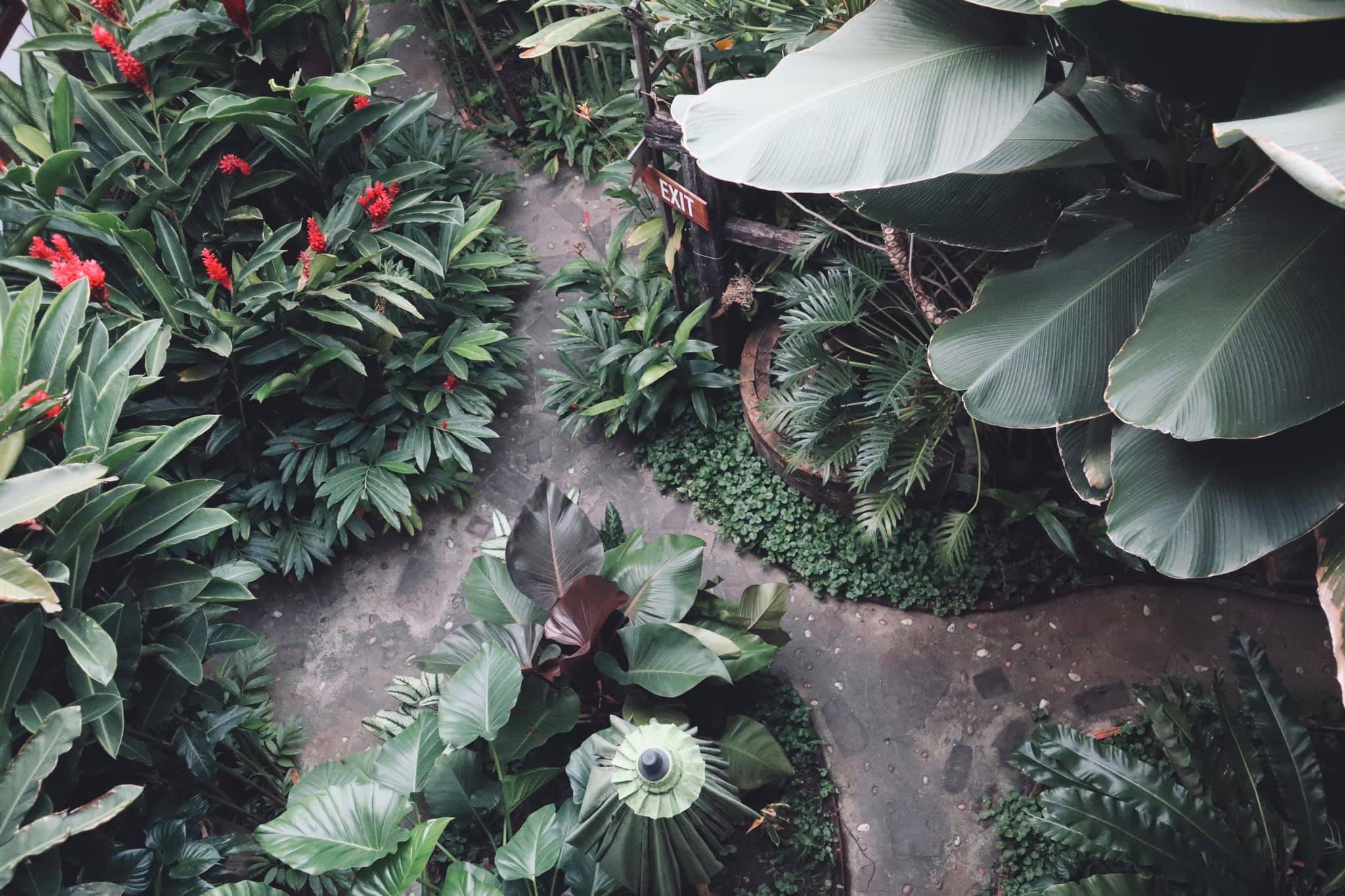 Shewe Wana Boutique Hotel (Adults Only) Chiang Mai Buitenkant foto
