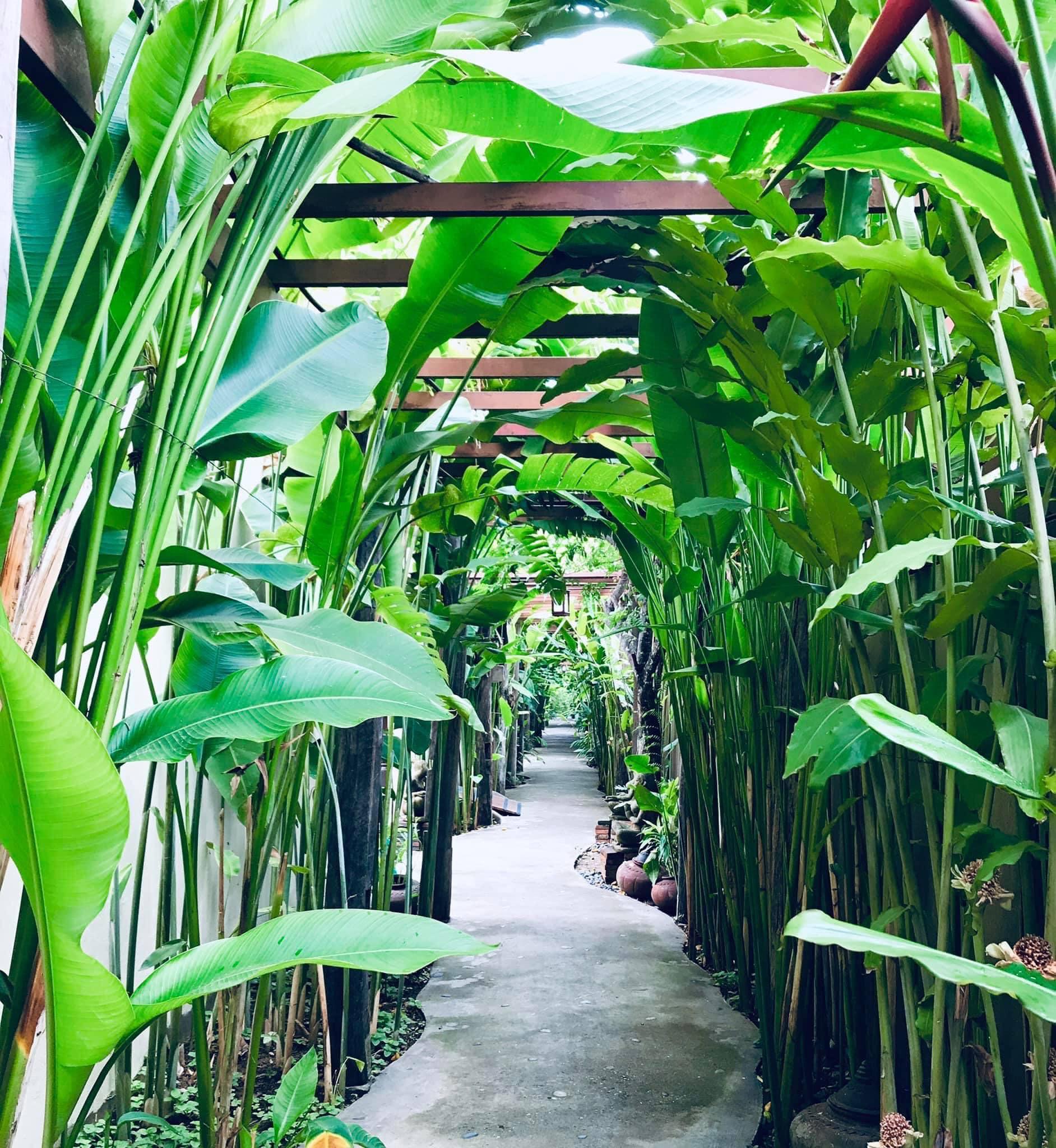 Shewe Wana Boutique Hotel (Adults Only) Chiang Mai Buitenkant foto