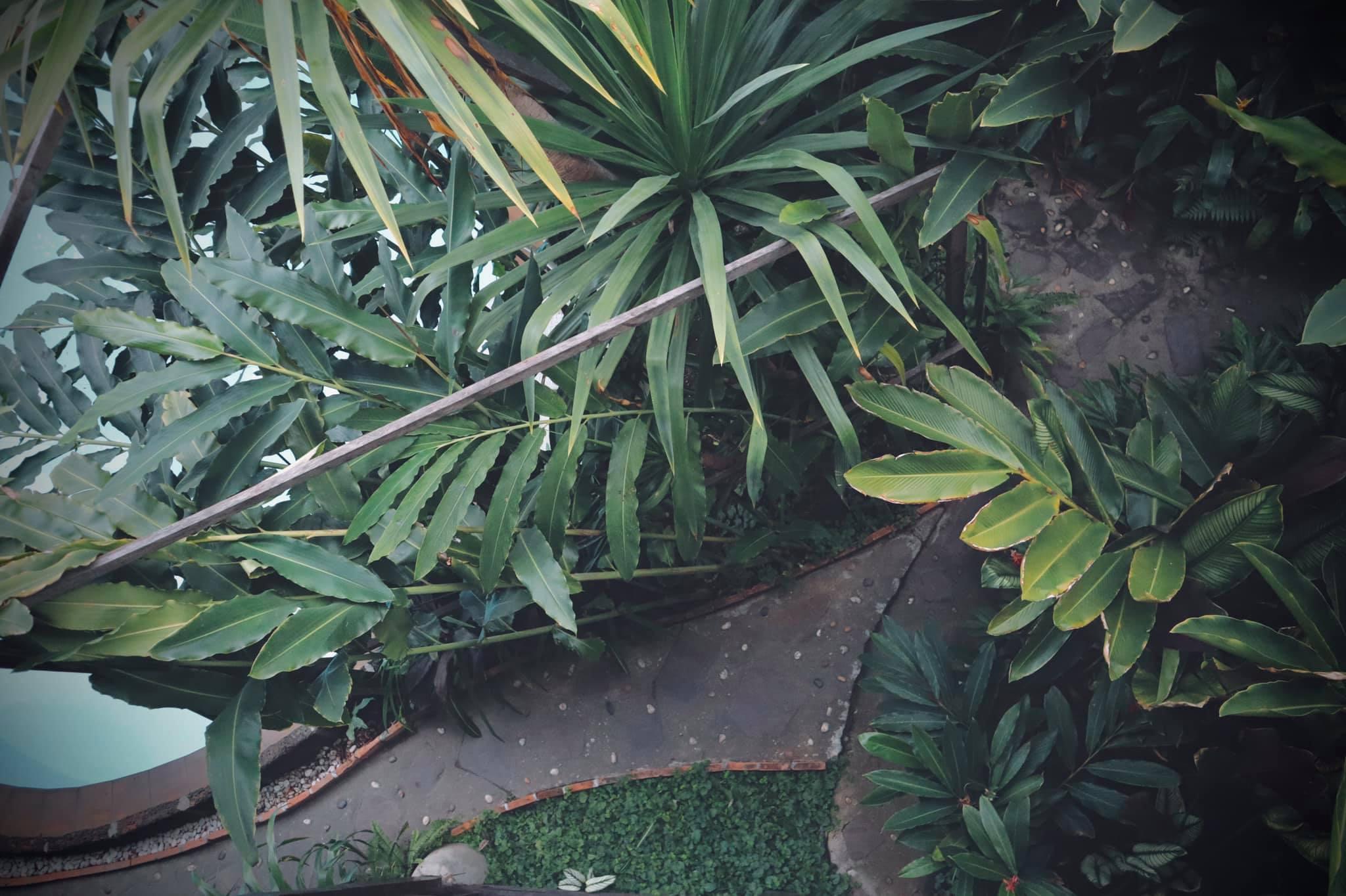 Shewe Wana Boutique Hotel (Adults Only) Chiang Mai Buitenkant foto